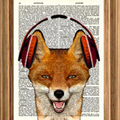 Drop G# EMG 85 Bridge Test