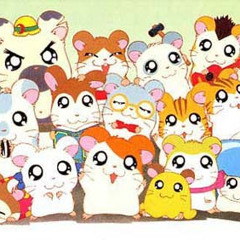 Hamtaro OP - Indonesian Ver