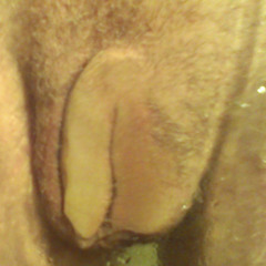 LE D BEAT (Prod. By Alf Matrak)