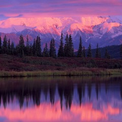 Mozart Sonate (mt 2 )