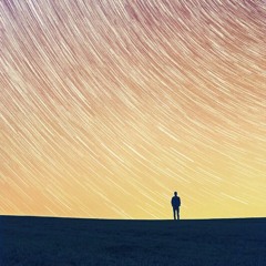 The Loneliness