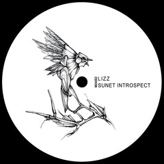 Sunet Introspect (Side A)
