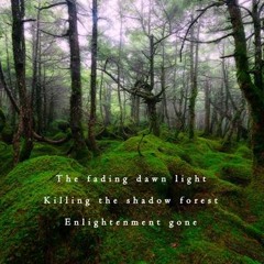 Percussive Light [naviarhaiku033 - The fading dawn light]