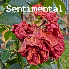 Sentimental