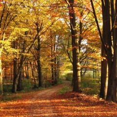 Gidge - Norrland (Tony Karlsborn Enter Autumn Remix)