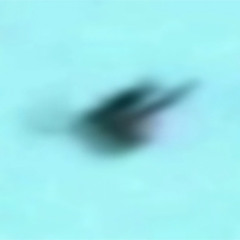 Permeable Surface [disquiet0138 - videosonicvoid]