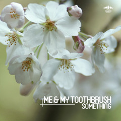 Me & My Toothbrush - Something (Original Mix)
