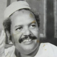 حقيبة