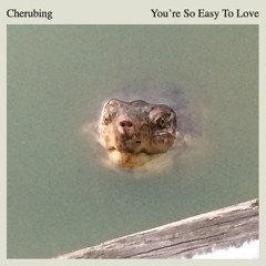 You're So Easy To Love