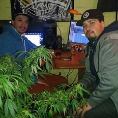 Presenta - Deres & Dager