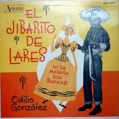 ODILIO GONZALEZ - NI DE MADERA SON BUENAS - ayer deje a mi borinquen