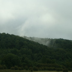 Hurricane - The Hush Sound (cover)