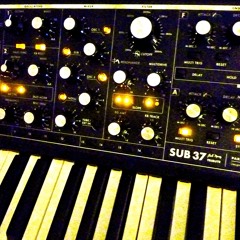 Moog Sub 37 Demos