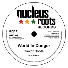 World In Danger - Trevor Roots - 7" Release Mix - Nucleus Roots