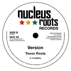 World In Danger Dub - Trevor Roots - Release Mix - Nucleus Roots