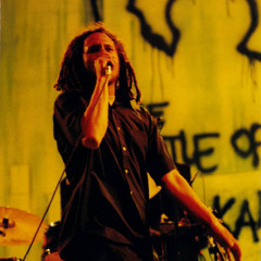Rage Against The Machine - Guerrilla Radio (Live)
