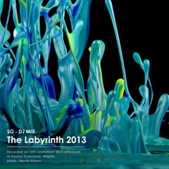 THE LABYRINTH 2013