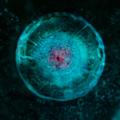 I Feel Everything (Lucy soundtrack Rework)