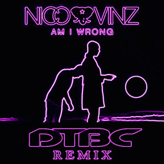 Am I Wrong (DTBC Remix)