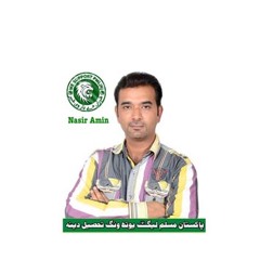 Nasir Amin ( pmln ) party song