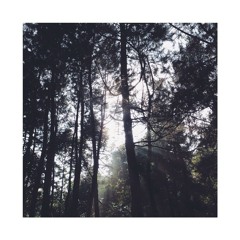 Monday Five #14 : Chin Up!