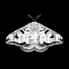 EMETIC019 Martyn Hare - Domino Effect (Scalameriya Remix)