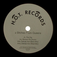 2 Bitches From Queens - Delkab Ave (Bass mix)