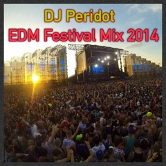 EDM Festival Mix 2014