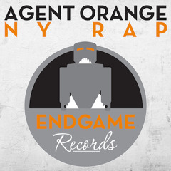 TEASER Agent Orange - NY Rap (RioTGeaR Remix) [Endgame 002]