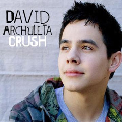 David Archuleta - Crush (Cover)