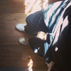 The Flamingo's Awakening