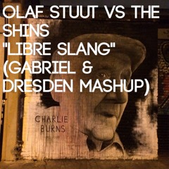 Olaf Stuut Vs The Shins - Libre Slang (Gabriel & Dresden Mashup)