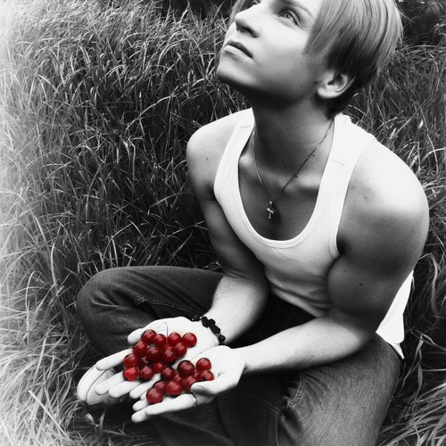 Евгений вольтов проекты