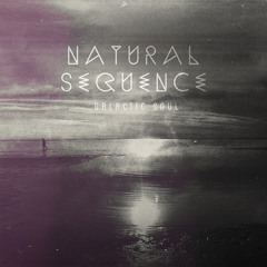Natural Sequence - Galactic Soul - 18 Galactic Soul Ft. Distant Starr (FNDK RMX)