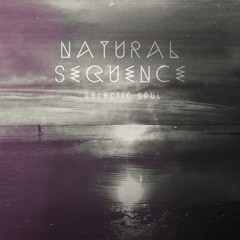 Natural Sequence - Galactic Soul - 02 Weather Ft. Buddy Leezle