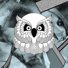 Tronik Youth - Edible Thoughts (Drop Out Orchestra RMX - La Dame Noir Records