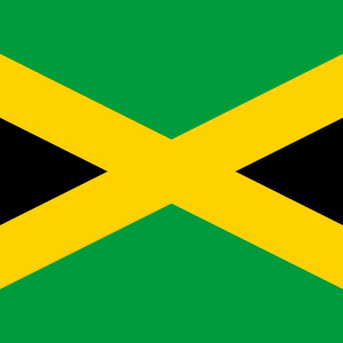 bruk_out #bashment