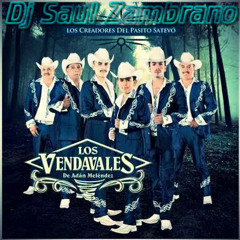 Los Vendavales Mix 2014 "Puro Pasito Satevo"