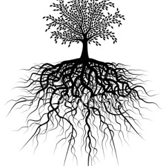 Country Boy - PatWayne prod by NEMO Achida