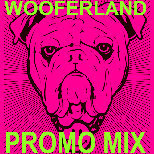 Wooferland Promomix In 100 Minuten