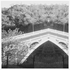 NEURAL - Welcome