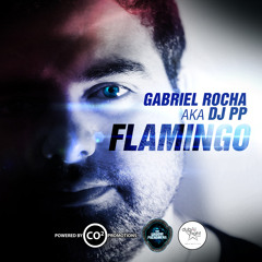 Gabriel Rocha AKA DJ PP -  Flamingo Original Mix