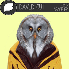 David Cut - Moondust (Original Mix)