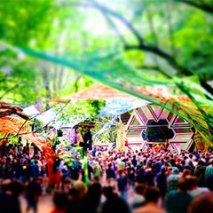 PsyTrance