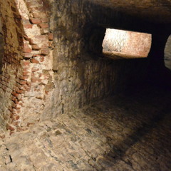 Cellar