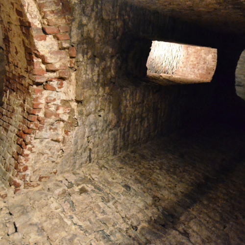 Cellar