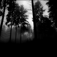 Aphotic OST - Hiding In The Corner
