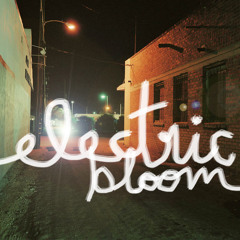 Foals - Eletric Bloom (Vitalli & Romaniv Remix)