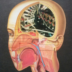 RE P - Irrational Drives Are Unconscious