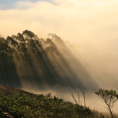 Oh How I Need You (cover feat. Hannah Clark)